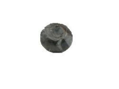 Pontiac 20626295 Hinge Nut