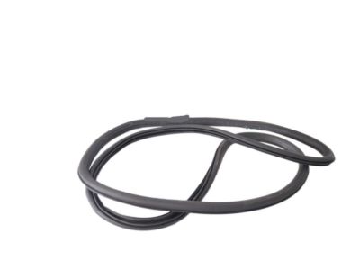 GMC 84258754 WEATHERSTRIP,REAR SIDE DOOR (BODY SIDE)