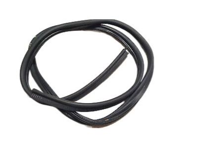 Chevy Classic Weather Strip - 22610057