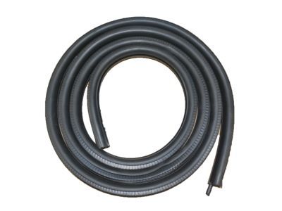 Cadillac 22766415 Surround Weatherstrip