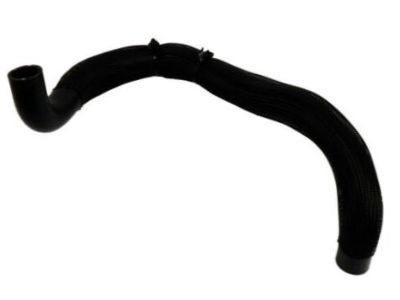 Cadillac Radiator Hose - 25880391