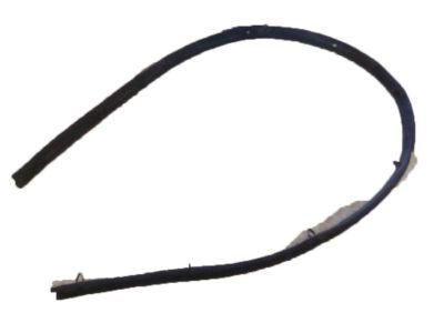 2021 Chevy Express 2500 Weather Strip - 25760644