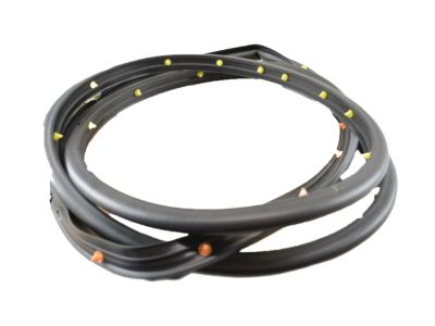 Chevy 95021341 Door Weatherstrip