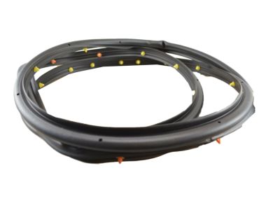 Chevy 95021341 Door Weatherstrip