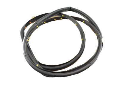 Chevy 95021341 Door Weatherstrip