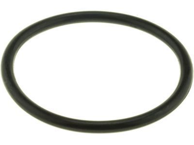 Pontiac 90118437 SEAL, CYL HEAD COOLANT OUTLET (RING TYPE)