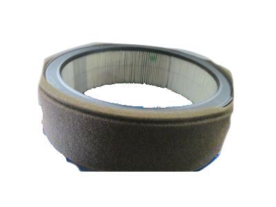 GMC 8996118 Air Filter