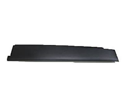 GMC 20816962 Body Side Molding