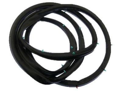 Hummer 25931868 Door Weatherstrip