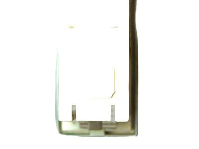 Chevy 10258647 Cargo Lamp