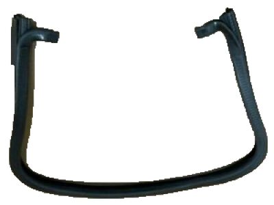 2003 Hummer H2 Weather Strip - 15785355