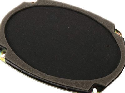 GM 9356759 Speaker Assembly, Radio Rear