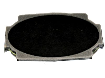 GMC 15173233 Rear Speaker