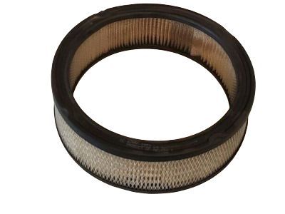 GMC 25040881 Air Filter