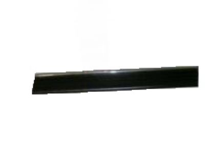 Chevy 22762809 Trim Molding