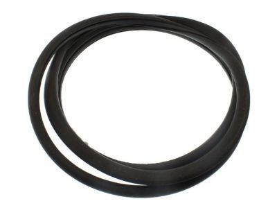 Chevy Trailblazer Weather Strip - 25917746