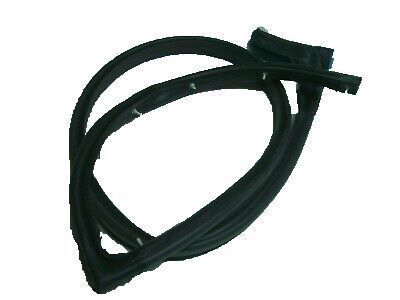 Cadillac XTS Weather Strip - 20913285