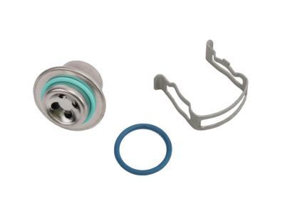 GMC 89017873 DAMPENER KIT,FUEL PULSE(INCLUDES 8,10)(W/O VACUUM NIPPLE)