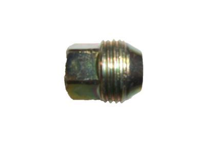 GMC 10028615 Wheel Nut