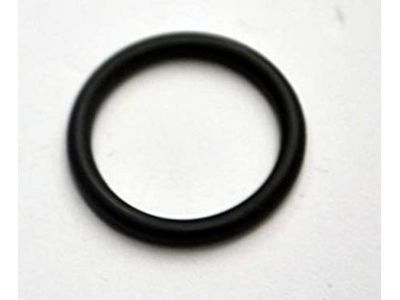 Chevy 55555984 Thermostat Housing Seal