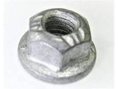 Chevy 11516075 Door Check Nut