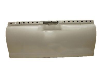 Chevy 20940096 Tail Gate