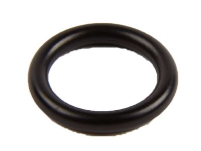 Chevy 55568540 Cooling Pipe Seal