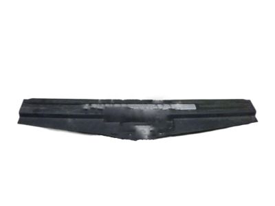 Cadillac 15931763 Scuff Plate