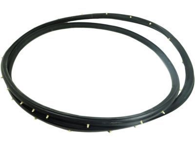 2009 Hummer H3T Weather Strip - 25931869