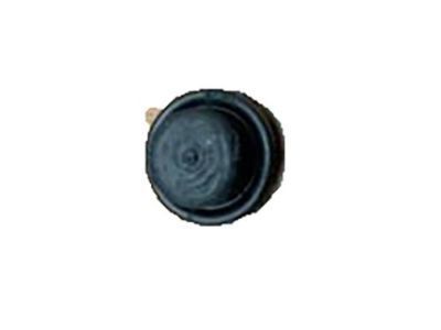 GMC 18003901 COVER,REAR BRAKE BLEEDER BOLT(MOUNTED TO CALIPER)(BLACK)(3/8-24 THREAD)(RUBBER)(FOR REPAIR USE ONLY)