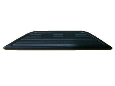 GMC 15738682 Step Pad