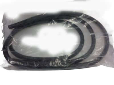 2009 Chevy Aveo Door Seal - 96467380