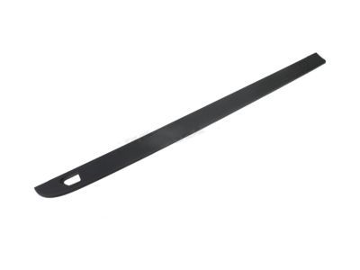 GMC 22763055 Upper Molding