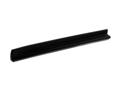 Chevy 25824824 Lower Molding