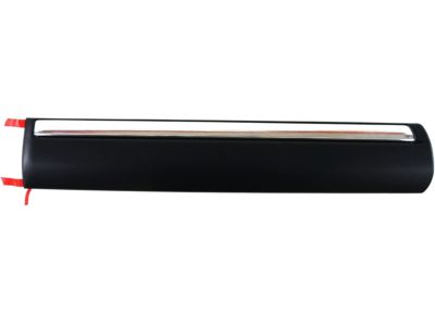 Chevy 88944484 Body Side Molding