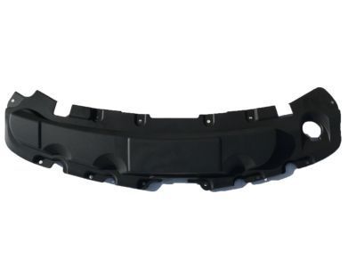 Chevy 23117555 Sight Shield