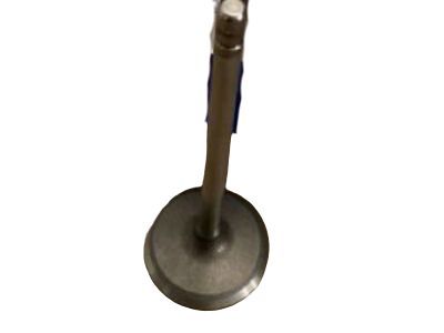 Pontiac 12575351 Intake Valve