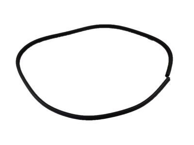 GM 22623348 Weatherstrip Assembly, Rear Side Door (Service In, Plant