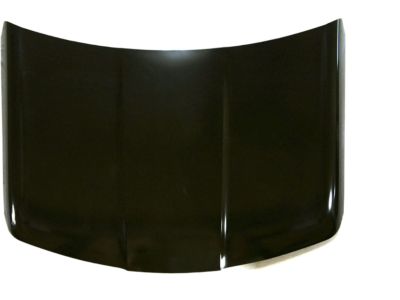 Saturn 15293413 Hood