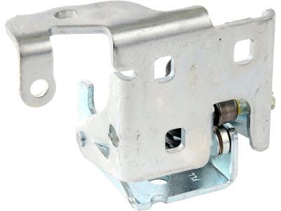 Cadillac 20969645 Lower Hinge