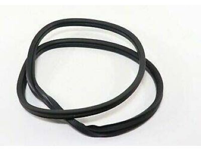 GMC 20963245 Lift Gate Glass Weatherstrip