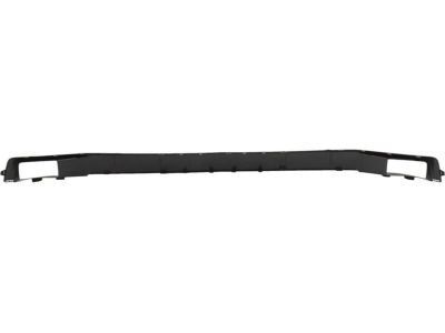 Chevy 23243961 Lower Molding