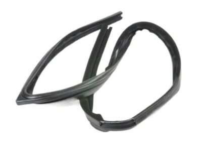 Pontiac 10294036 Run Weatherstrip