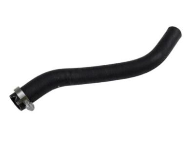 Chevy 22951225 Filler Hose