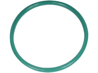 GM 24219390 Seal,Turbine Shaft(O Ring)