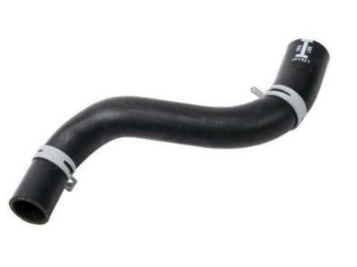 Pontiac 10423132 Lower Hose