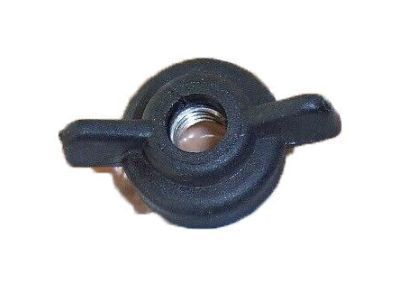 Chevy 10165652 Air Cleaner Nut