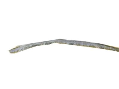 Chevy Uplander Weather Strip - 10383150