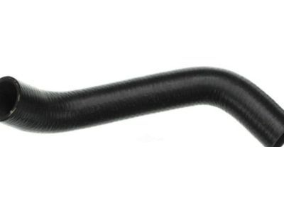 Chevy 10359363 Lower Hose