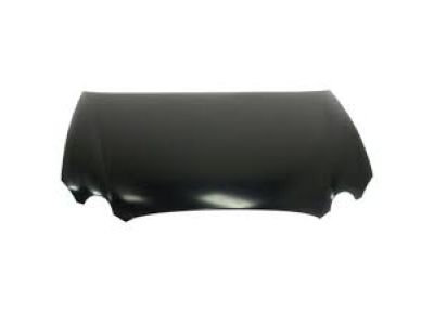 Buick 19120225 Hood